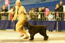 20081130-iwsac-0196