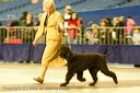 20081130-iwsac-0197