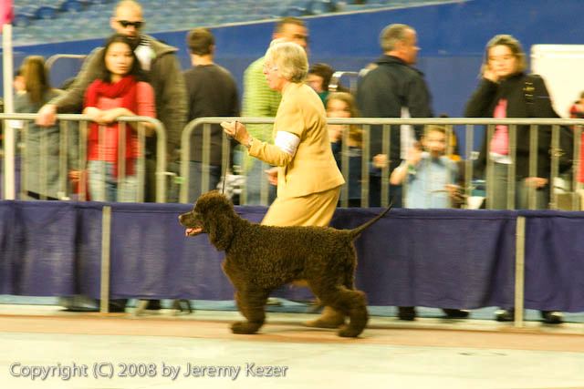 20081130-iwsac-0186.jpg