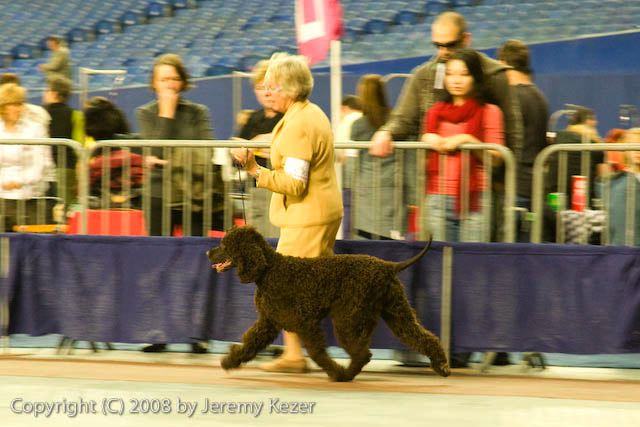 20081130-iwsac-0188.jpg