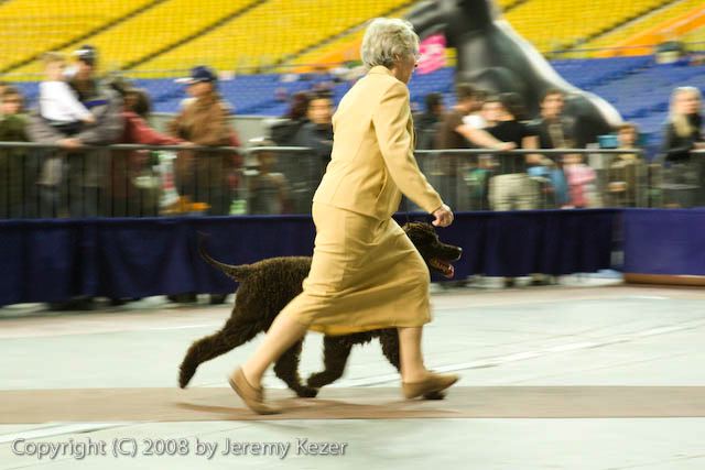 20081130-iwsac-0193.jpg