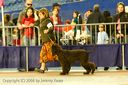20081130-iwsac-0165