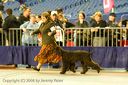 20081130-iwsac-0168