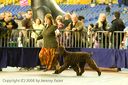 20081130-iwsac-0169