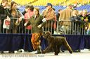 20081130-iwsac-0171