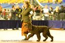 20081130-iwsac-0181