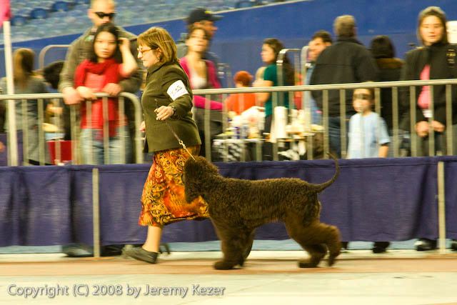20081130-iwsac-0165.jpg
