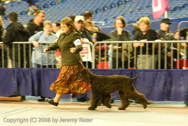 20081130-iwsac-0168.jpg