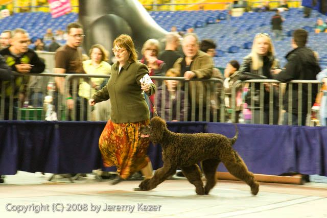 20081130-iwsac-0169.jpg