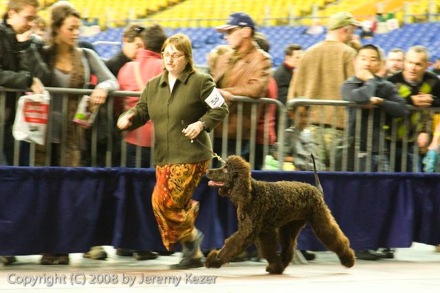 20081130-iwsac-0171.jpg