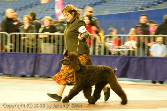 20081130-iwsac-0177.jpg