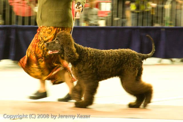 20081130-iwsac-0183.jpg