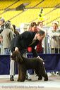20081130-iwsac-0205