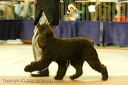 20081130-iwsac-0214
