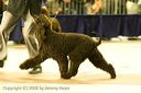 20081130-iwsac-0216