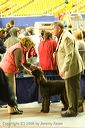 20081130-iwsac-0217