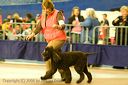 20081130-iwsac-0220
