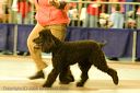20081130-iwsac-0221