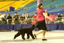 20081130-iwsac-0230
