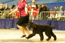 20081130-iwsac-0235