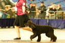 20081130-iwsac-0237