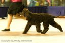 20081130-iwsac-0238
