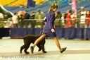 20081130-iwsac-0240