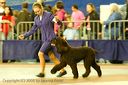 20081130-iwsac-0243