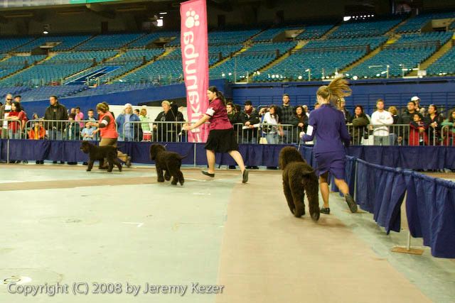 20081130-iwsac-0203.jpg