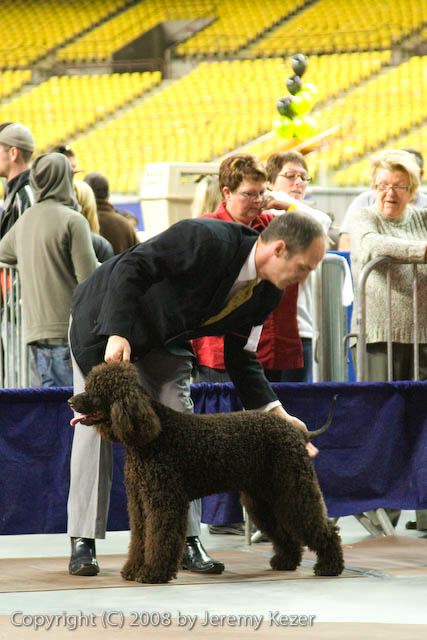 20081130-iwsac-0205.jpg