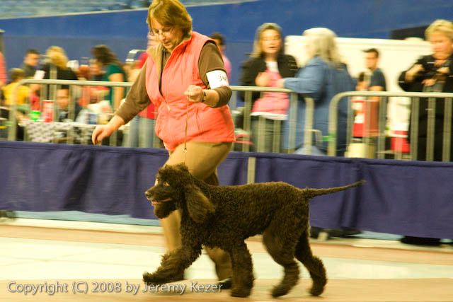 20081130-iwsac-0220.jpg