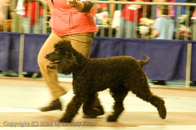 20081130-iwsac-0221.jpg