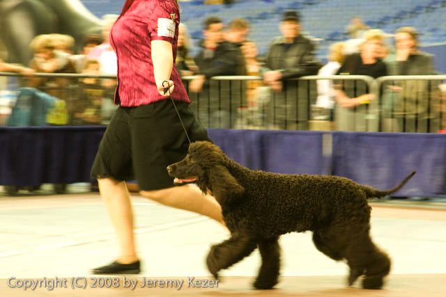 20081130-iwsac-0237.jpg