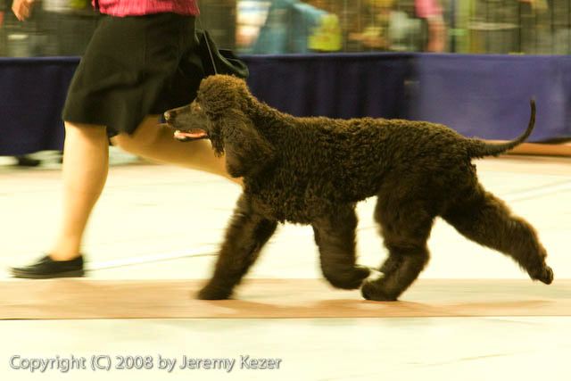 20081130-iwsac-0238.jpg