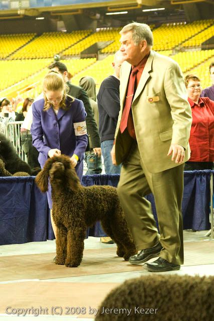 20081130-iwsac-0239.jpg
