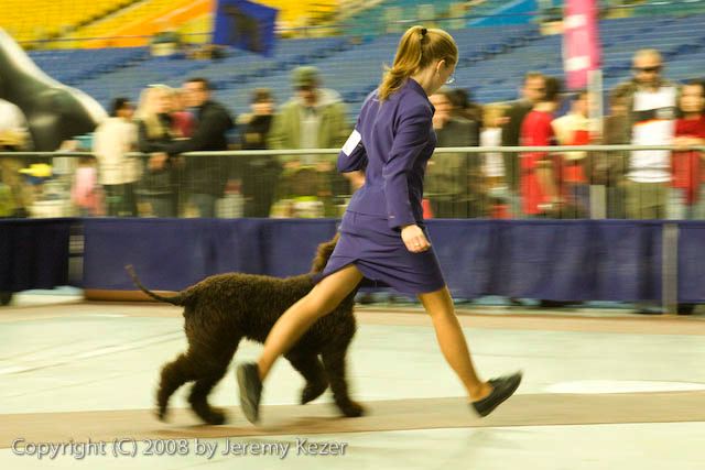 20081130-iwsac-0240.jpg