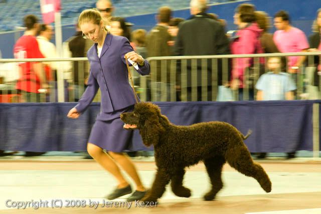 20081130-iwsac-0244.jpg