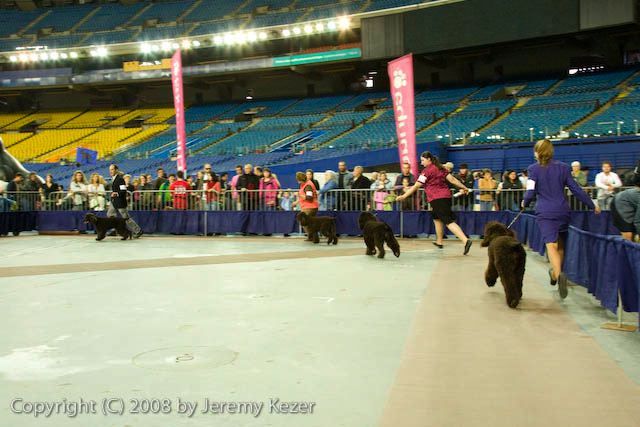 20081130-iwsac-0248.jpg