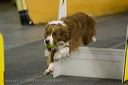 20081130-iwsac-0014