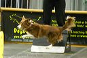 20081130-iwsac-0053