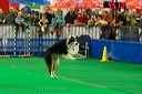 20081130-iwsac-0079