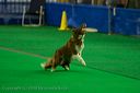 20081130-iwsac-0138