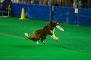 20081130-iwsac-0139