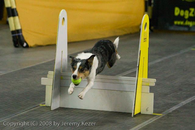 20081130-iwsac-0001.jpg