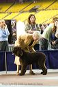 20081130-iwsac-0156