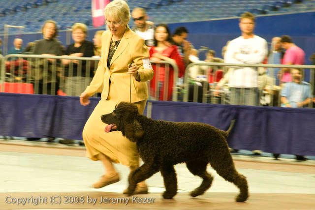 20081130-iwsac-0157.jpg