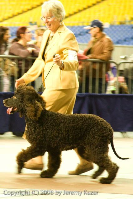20081130-iwsac-0161.jpg