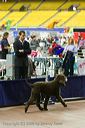 20081130-iwsac-0070