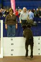 20081130-iwsac-0073