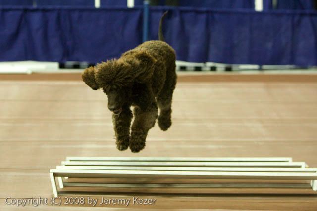 20081130-iwsac-0074.jpg